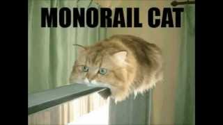 Monorail Cat [upl. by Ystap]