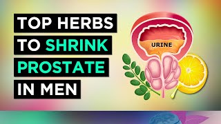 The Best Herbs To TREAT Enlarged Prostate BPH [upl. by Warrin]