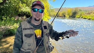 1st fish landed on a fly rod on the Weber River [upl. by Nitsej200]