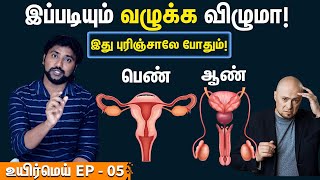 வழுக்கை விழ இதுதான் காரணமா  Male pattern baldness explained in Tamil  Street Light  Uyirmei Ep 5 [upl. by Eloisa]