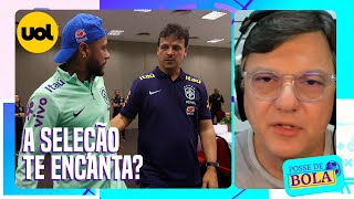 SELEÇÃO BRASILEIRA QUERO É QUE PAREM E DEIXEM OS CLUBES JOGAR DISPARA MAURO CEZAR [upl. by Ruhl]