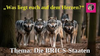 Die BRICSStaaten [upl. by Ahrens]