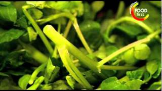 How to cook Minted Pea and Watercress Veloute  Gordon Ramsay Recipe  easy to cook [upl. by Nojed307]