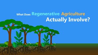 What is Regenerative Agriculture [upl. by Mcnully]