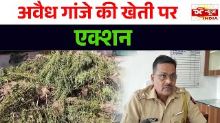 Police Action Against Those Who Cultivate Ganja DC NEWS INDIA [upl. by Merat698]