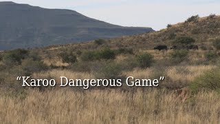 Karoo Dangerous Game [upl. by Yanad690]