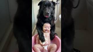 The dog is bathing the baby it’s amazing [upl. by Engeddi]