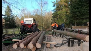 Building a shed out of Green lumber direct from the forest A logging sawing and building video [upl. by Nairret]