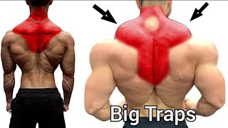 Traps exercise at home and at gymtop 3 traps workouttraps and back workout at home [upl. by Elbertine]