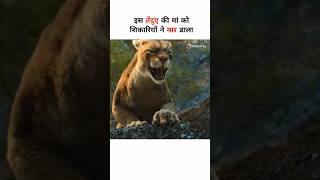 A dogs way home movie Scenes explained in hindi shorts [upl. by Placeeda]