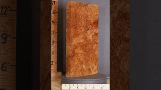 D2264 5A Block Spalted Burl Maple Lumber [upl. by Lorou763]