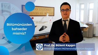 3 Soru 3 Cevap  Orman Endüstri Mühendisliği Bölümü [upl. by Gefell97]