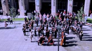 Huge symphonic amp choir flashmob  Budapest Hungary  Bánk Báns Aria My homeland my homeland [upl. by Hecht354]