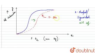 Rightshift of oxygenhaemoglobin dissociation curve can occur due to  12  BREATHING AND EXCHA [upl. by Kecaj]