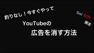 Switch勢必見！YouTubeの広告を消す方法‼︎ SINNch [upl. by Lechar]