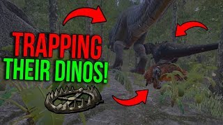 WE TRAPPED THEIR GIGA  ARK Extinction Official PvP  Ep4 [upl. by Aira]