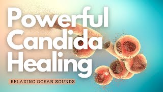 ❉ Candida Relief and Healing  Isochronic Tone 427 Hz  Rife frequencies  Relaxing Ocean Sounds [upl. by Ynna170]