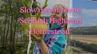 Slow morning at my homestead in the Scottish Highlands  cottage life in rural Scotland [upl. by Westbrook119]