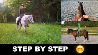 HOW TO RIDE A HORSE FOR BEGINNERS STEP BY STEP 🐎 [upl. by Ambrosio]