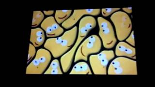 Cbeebies Crowd Ident [upl. by Longley]