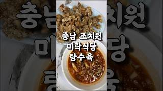 조치원 맛집 조치원 중식맛집 미락식당의 탕수육 [upl. by Nyrrek]