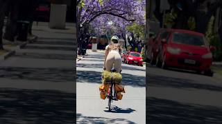 CYCLING INTO THE SPRING cycling cycle bike bikelife roadbike roadcycling [upl. by Otrebcire]