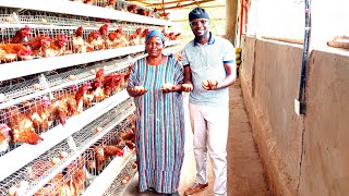 KENYAN RETIRED TEACHER REAPING BIG FROM POULTRY FARMING IN NYAMIRA COUNTY poultryfarming farmup [upl. by Yehtomit]