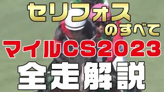 【セリフォスのすべて】（マイルチャンピオンシップ2023）新馬戦から前走までのレースぶりを振り返ってみました [upl. by Hares]