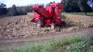 BOURGOIN GM32015 CORN HARVEST [upl. by Bunnie]