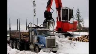 Loading Tri Drive Quad Log Truck [upl. by Kimberli]