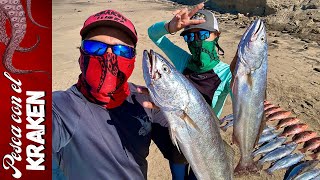 PESCA DE ORILLA  INSHORE FISHING  Regresamos por más corvinas🦑 [upl. by Bernardine]