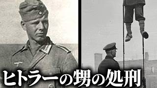 【悲惨】ヒトラーのお気に入りの甥、ハインリヒ・ヒトラー【世界史】 [upl. by Schwerin]