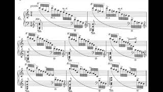 Robert Schumann  Etudes in Variation Form on a Theme by Beethoven WoO 31 [upl. by Colwin83]