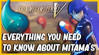 Complete Mitama Guide For Shin Megami Tensei V Weaknesses Drops How To find them amp More [upl. by Noslen]