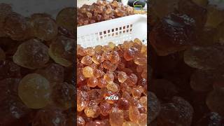 How the Chinese turn peach tree resin into a dish peachgum peach shorts [upl. by Inaluahek111]