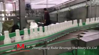 Automatic Lactobacillus Beverage Filling LineAcidophilus Milk Production Line [upl. by Bosson245]