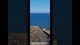 Filey Filey seaside northyorkshire [upl. by Hterrag]