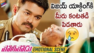 Vijay Best Emotional Scene  Policeodu Latest Telugu Movie  Samantha  Amy Jackson  Vijays Theri [upl. by Petrie]