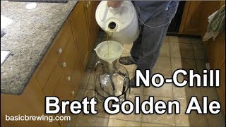 NoChill Brett Golden Ale  Basic Brewing Video  March 15 2019 [upl. by Elik429]