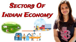 Sectors of indian economy class 10  Sectors of indian economy [upl. by Putnam]