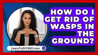 How Do I Get Rid of Wasps in the Ground  LearnToDIY360com [upl. by Lardner]