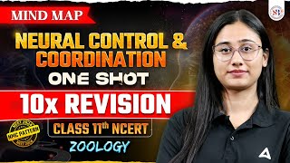 NEURAL CONTROL AND COORDINATION CLASS 11 ONE SHOT  NEET 2024  NCERT BASED ZOOLOGY MIND MAP [upl. by Narruc532]