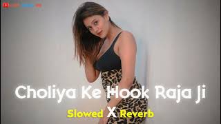 🥵 Choliya ke Hook Raja ji Slowed Reverb bhojpuri trending song bhojpuri [upl. by Celka]