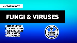 Fungi amp Viruses  Microbiology  Unit 3  B Pharm 3rd Semester  Imperfect Pharmacy [upl. by Sterrett]