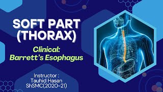 Barretts Esophagus  Clinical Anatomy Esophagus  Explained in Bangla [upl. by Ahsurej]