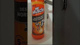 Mr Muscle Drain Unblocker Gel  Sink Test [upl. by Duky]