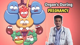 Organs during Pregnancy Period Pregnancy ke douran baaki organs haal pregnancy reproduction [upl. by Nrubloc]