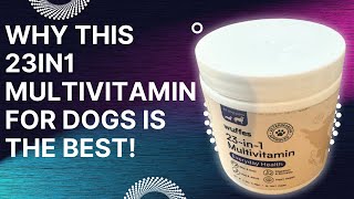 Review of 23 in 1 Chewable Dog Multivitamin [upl. by Jun]