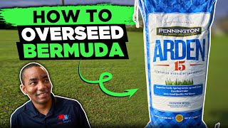 How to Overseed a Lawn  Overseeding Lawns in Spring [upl. by Aicilic]