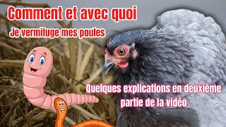 comment je vermifuge mes poules [upl. by Tannie]